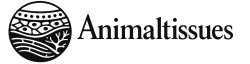 Animal Tissues Online